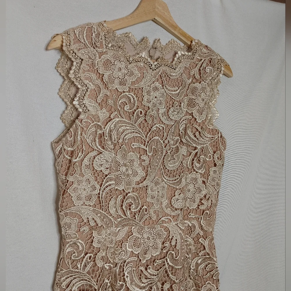 Dress The Population Cardea Champagne Lace Floral‎ Midi Dress M Sleeveless Crew